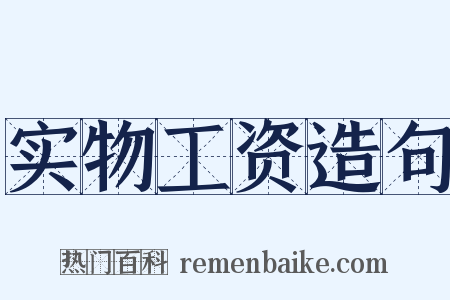 实物工资造句是什么意思的图片